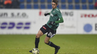 fotbal dominik plestil